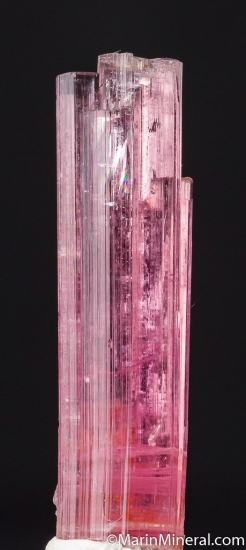 Tourmaline from Himalaya Mine, Mesa Grande, San Diego Co., California, USA [db_pics/pics/CT638a.jpg]