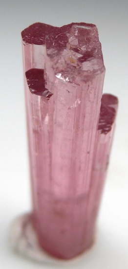 Tourmaline from Himalaya Mine, Mesa Grande, San Diego Co., California, USA [db_pics/pics/CT638f.jpg]
