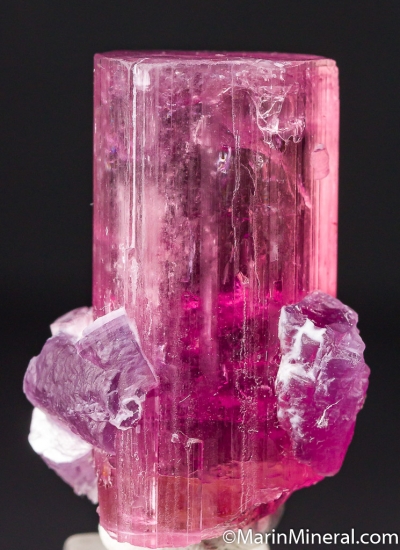 Tourmaline with Lepidolite from Himalaya Mine, Mesa Grande, San Diego Co., California, USA [db_pics/pics/CT639a.jpg]