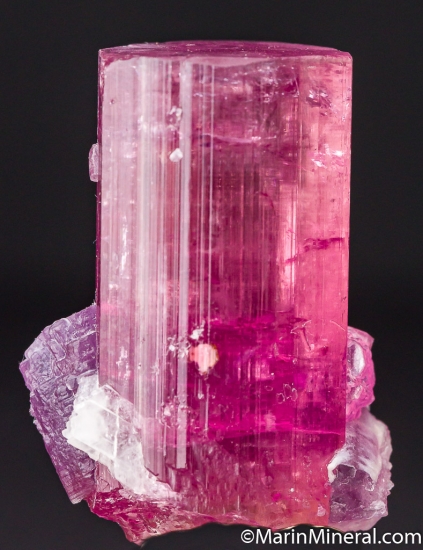 Tourmaline with Lepidolite from Himalaya Mine, Mesa Grande, San Diego Co., California, USA [db_pics/pics/CT639c.jpg]