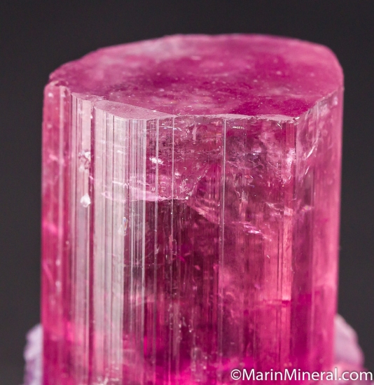 Tourmaline with Lepidolite from Himalaya Mine, Mesa Grande, San Diego Co., California, USA [db_pics/pics/CT639e.jpg]