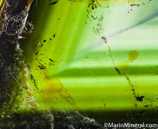 Liddicoatite from Anjanabonoina, Madagascar [db_pics/pics/CT651c.jpg]