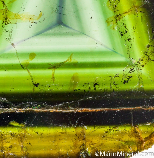 Liddicoatite from Anjanabonoina, Madagascar [db_pics/pics/CT651d.jpg]