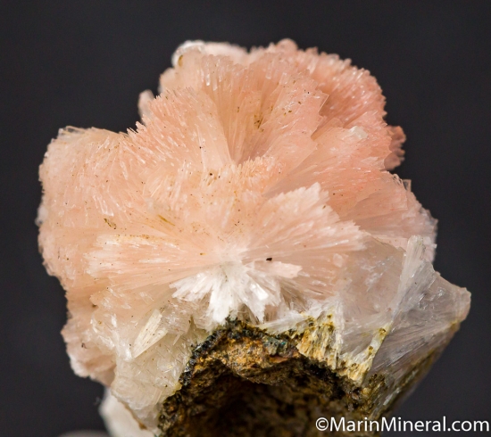 Thomasite from Amudika River, near Mirny, Yakutia, Siberia, Russia [db_pics/pics/CT657c.jpg]