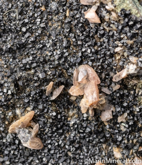 Titanite with Melanite from MT Jeannes Pit No. 2, Clear Creek, San Benito Co., California, USA [db_pics/pics/CT712e.jpg]