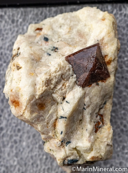 Zircon from Tigerville Prospect, Greenville Co., South Carolina, USA [db_pics/pics/CT714a.jpg]