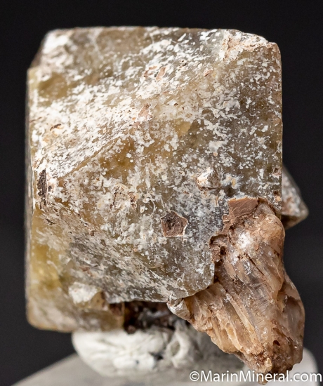 Mellite from CsordakÃºti Mine, Bicske-CsordakÃºt, Bicskei District, FejÃ©r County, Hungary [db_pics/pics/CT739b.jpg]