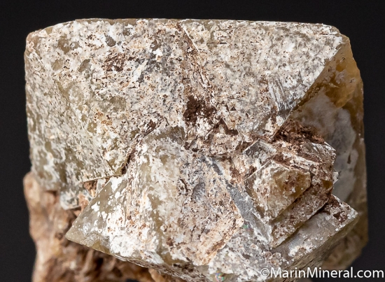 Mellite from CsordakÃºti Mine, Bicske-CsordakÃºt, Bicskei District, FejÃ©r County, Hungary [db_pics/pics/CT739d.jpg]
