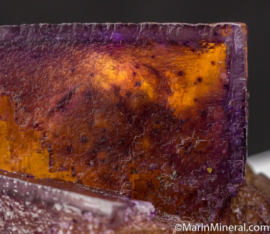 Fluorite from Minerva Mine, Cave-in-Rock, Hardin Co., Illinois, USA [db_pics/pics/CT800d.jpg]