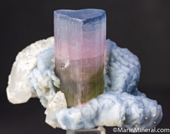 Tourmaline with Albite from Badakhshan, Afghanistan [db_pics/pics/CT801a.jpg]