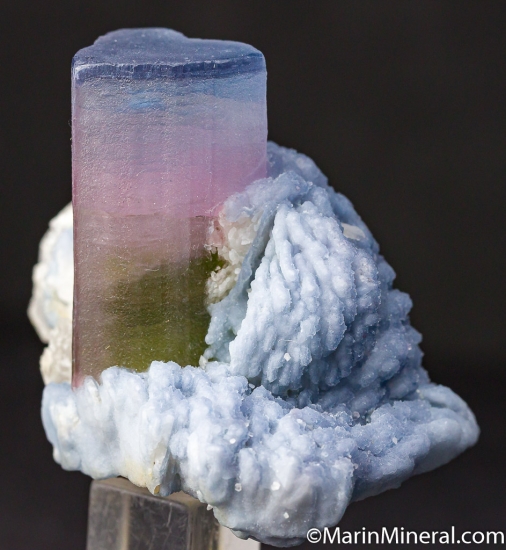 Tourmaline with Albite from Badakhshan, Afghanistan [db_pics/pics/CT801b.jpg]