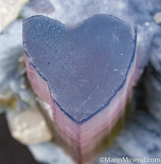 Tourmaline with Albite from Badakhshan, Afghanistan [db_pics/pics/CT801c.jpg]