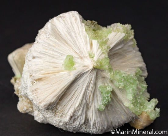 Pectolite, Prehnite, Laumontite from Prospect Park, Passiac Co., New Jersey, USA [db_pics/pics/CT806a.jpg]