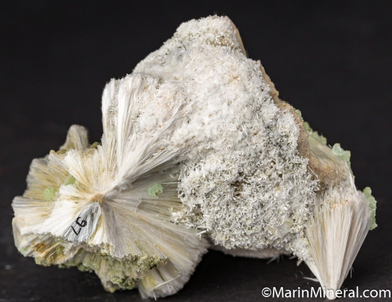Pectolite, Prehnite, Laumontite from Prospect Park, Passiac Co., New Jersey, USA [db_pics/pics/CT806h.jpg]