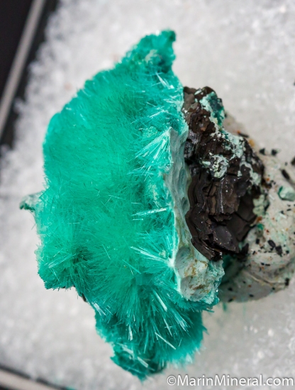 Aurichalcite from Dos Adrianas Mine, Copiapo, Atacama Region, Chile [db_pics/pics/CT816b.jpg]