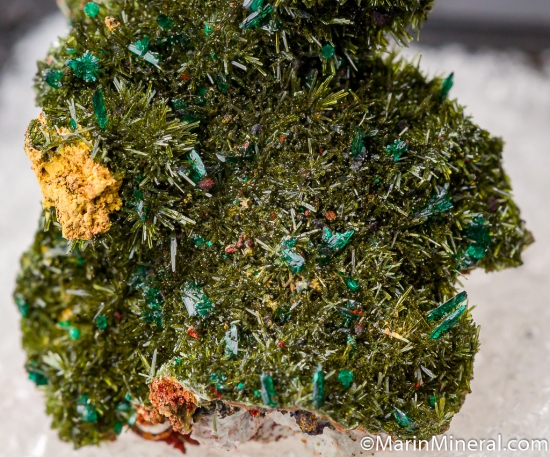 Libethenite from Los Azules mine, Quebrada San Miguel, CopiapÃ³ Province, Atacama, Chile [db_pics/pics/CT820d.jpg]