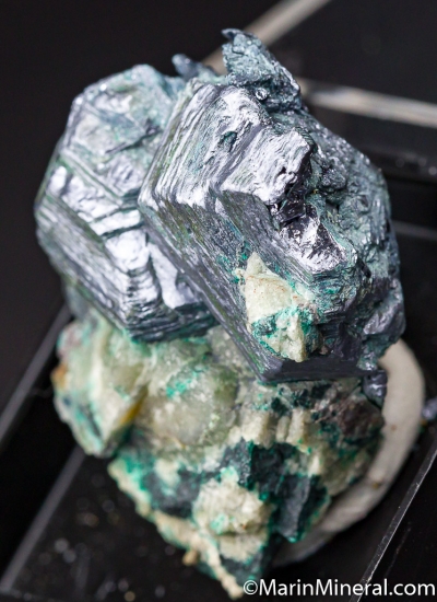 Molybdenite from Jardinera Mine, Inca de Oro, Chile [db_pics/pics/CT832b.jpg]