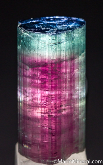 Tourmaline from Pederniera Mine, Minas Gerais, Brazil [db_pics/pics/CT835g.jpg]