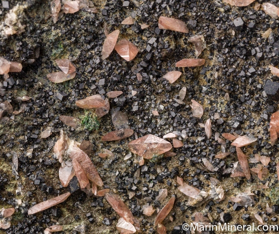 Titanite (pink!) with Melanite from MT Jeannes Pit No. 2, Clear Creek, San Benito Co., California, USA [db_pics/pics/CT842d.jpg]