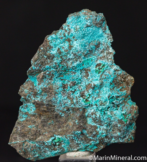 McGuinnessite from Red Mountain, Mendocino Co., California, USA [db_pics/pics/CT844a.jpg]