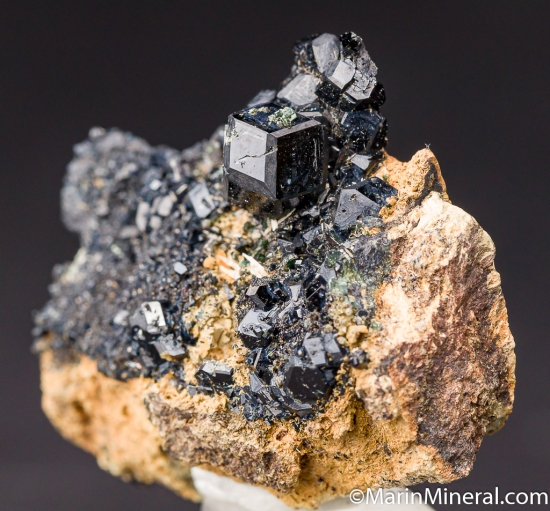 Andradite var. Melanite from Locality #1 near New Idria, San Benito Co., California, USA [db_pics/pics/CT845b.jpg]