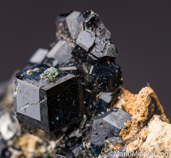 Andradite var. Melanite from Locality #1 near New Idria, San Benito Co., California, USA [db_pics/pics/CT845d.jpg]