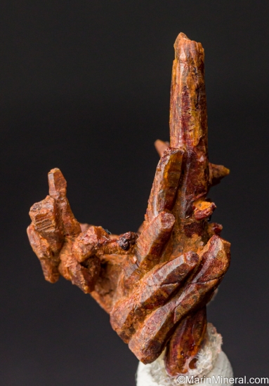 Parisite from Snowbird Mine, Alberton, Mineral Co., Montana, USA [db_pics/pics/CT899a.jpg]