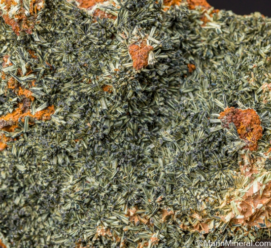 Metakoettigite from Mina Oujela, Mapimi, Durango, Mexico [db_pics/pics/CT913c.jpg]