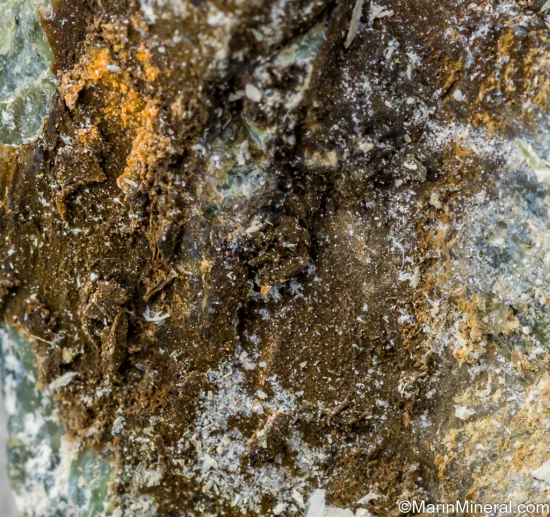 Desautelsite from Artinite Pit, Clear Creek Area, San Benito Co., California, USA [db_pics/pics/CT949d.jpg]