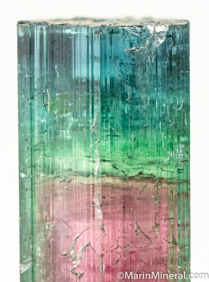 Tourmaline from Sapo Mine, Minas Gerais, Brazil [db_pics/pics/D205d.jpg]