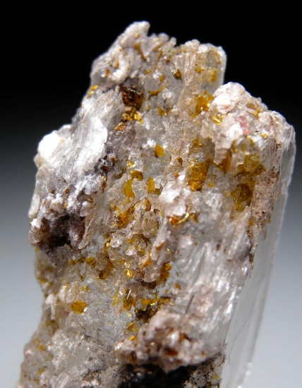 Shigaite on Selenite with Rhodochrosite from N'Chwanning Mine, Kuruman, South Africa [db_pics/pics/D286c.jpg]