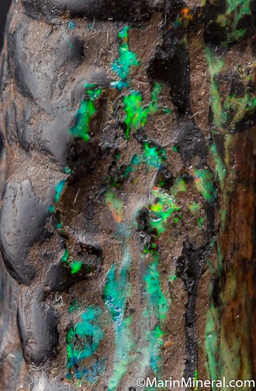 Opal after Bamboo from Banten, Java, Indonesia [db_pics/pics/D313d.jpg]