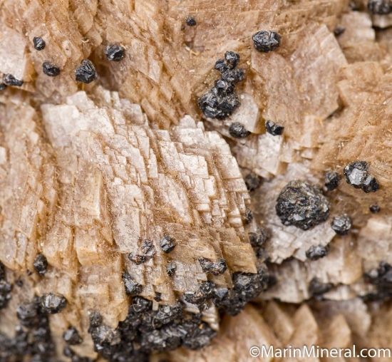 Argentiferous Galena on Siderite stalactites from White Raven Mine, Boulder Co., Colorado, USA [db_pics/pics/D414i.jpg]