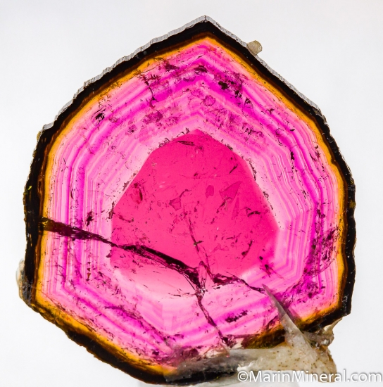 Liddicoatite from Anjanabonoina, Madagascar [db_pics/pics/D435a.jpg]