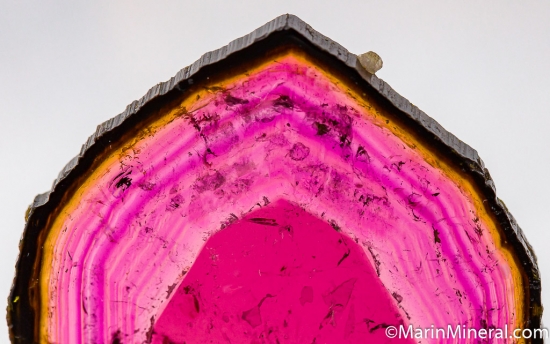 Liddicoatite from Anjanabonoina, Madagascar [db_pics/pics/D435c.jpg]