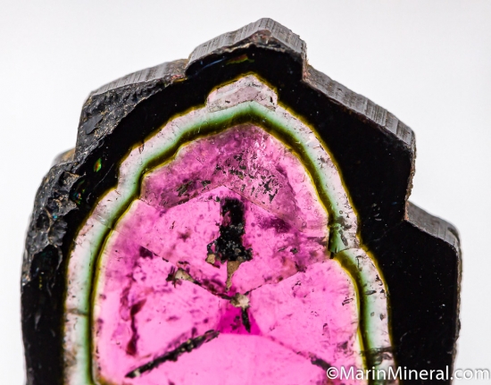 Liddicoatite from Anjanabonoina, Madagascar [db_pics/pics/D436c.jpg]