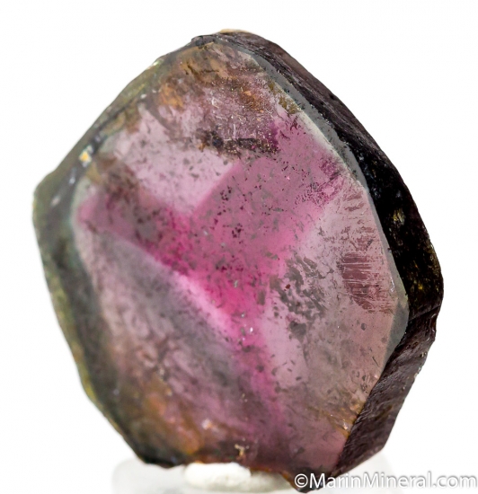 Liddicoatite from Anjanabonoina, Madagascar [db_pics/pics/D437b.jpg]