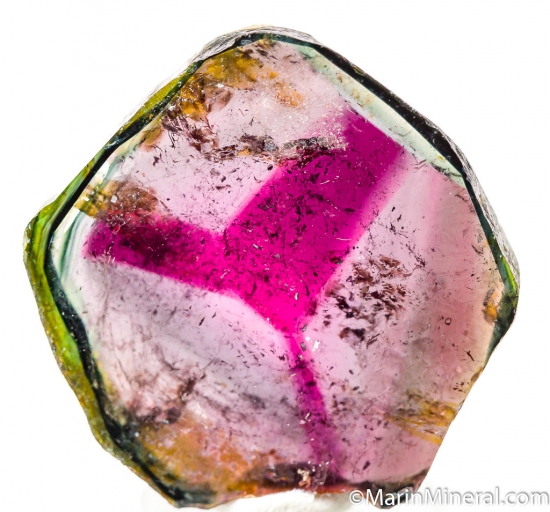 Liddicoatite from Anjanabonoina, Madagascar [db_pics/pics/D437c.jpg]