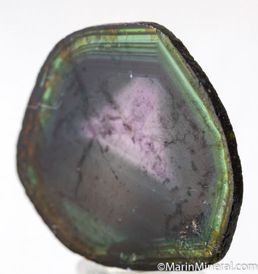 Liddicoatite from Anjanabonoina, Madagascar [db_pics/pics/D438b.jpg]