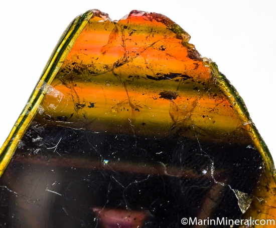 Liddicoatite from Anjanabonoina, Madagascar [db_pics/pics/D439c.jpg]