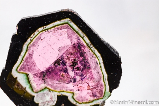 Liddicoatite from Anjanabonoina, Madagascar [db_pics/pics/D440c.jpg]