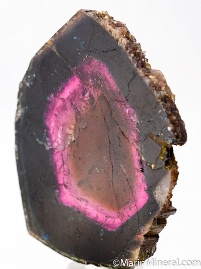 Liddicoatite from Anjanabonoina, Madagascar [db_pics/pics/D442b.jpg]