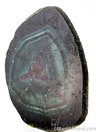 Liddicoatite from Anjanabonoina, Madagascar [db_pics/pics/D443b.jpg]