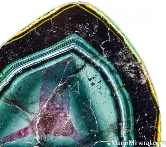 Liddicoatite from Anjanabonoina, Madagascar [db_pics/pics/D443c.jpg]