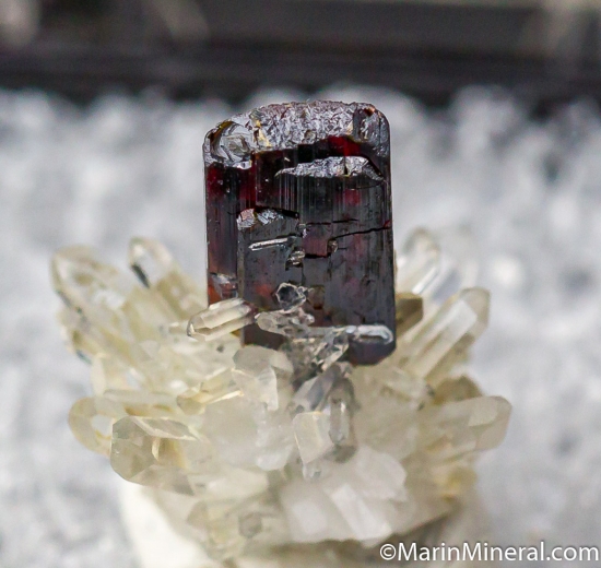 Huebnerite on Quartz from Black Pine Mine, Philipsburg, Granite Co., Montana, USA [db_pics/pics/D448a.jpg]
