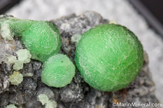 Wavellite from Montgomery Co., Arkansas, USA [db_pics/pics/D449c.jpg]