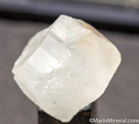 Phenakite from Mt. White, Colorado, USA [db_pics/pics/D454a.jpg]