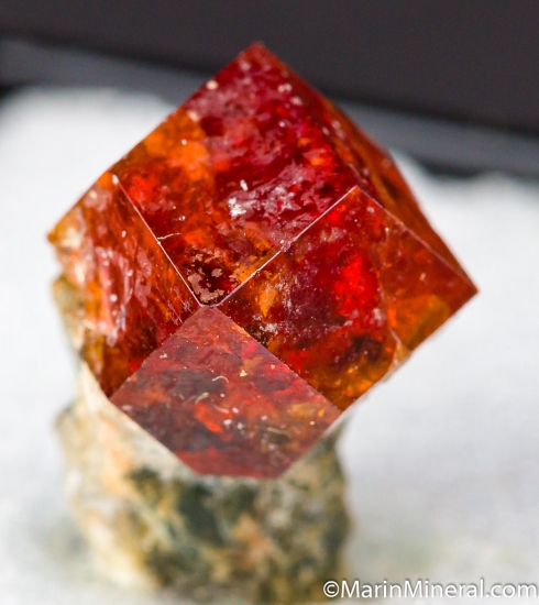 Grossular on Diopside from Eden Mills, Vermont, USA [db_pics/pics/D455c.jpg]