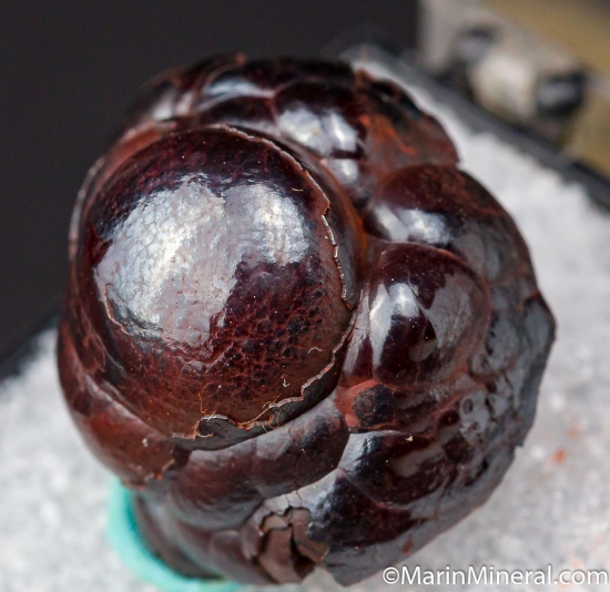 Hematite var. Kidney Ore from Black Widow Mine, Pima Co., Arizona, USA [db_pics/pics/D458b.jpg]