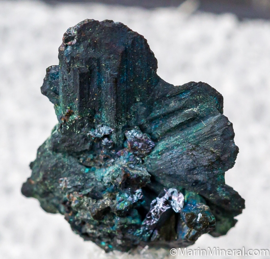 Digenite from Steward Mine, Butte, Silver Bow Co., Montana, USA [db_pics/pics/D465a.jpg]